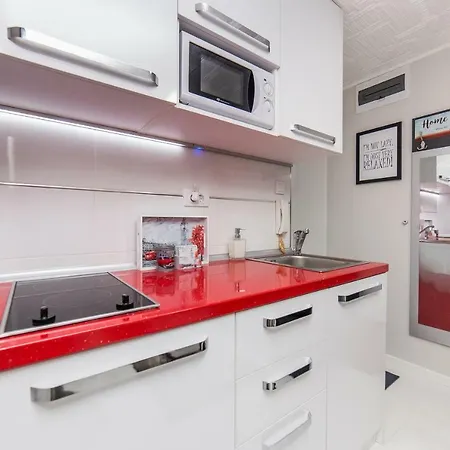 Romanov 贝尔格莱德